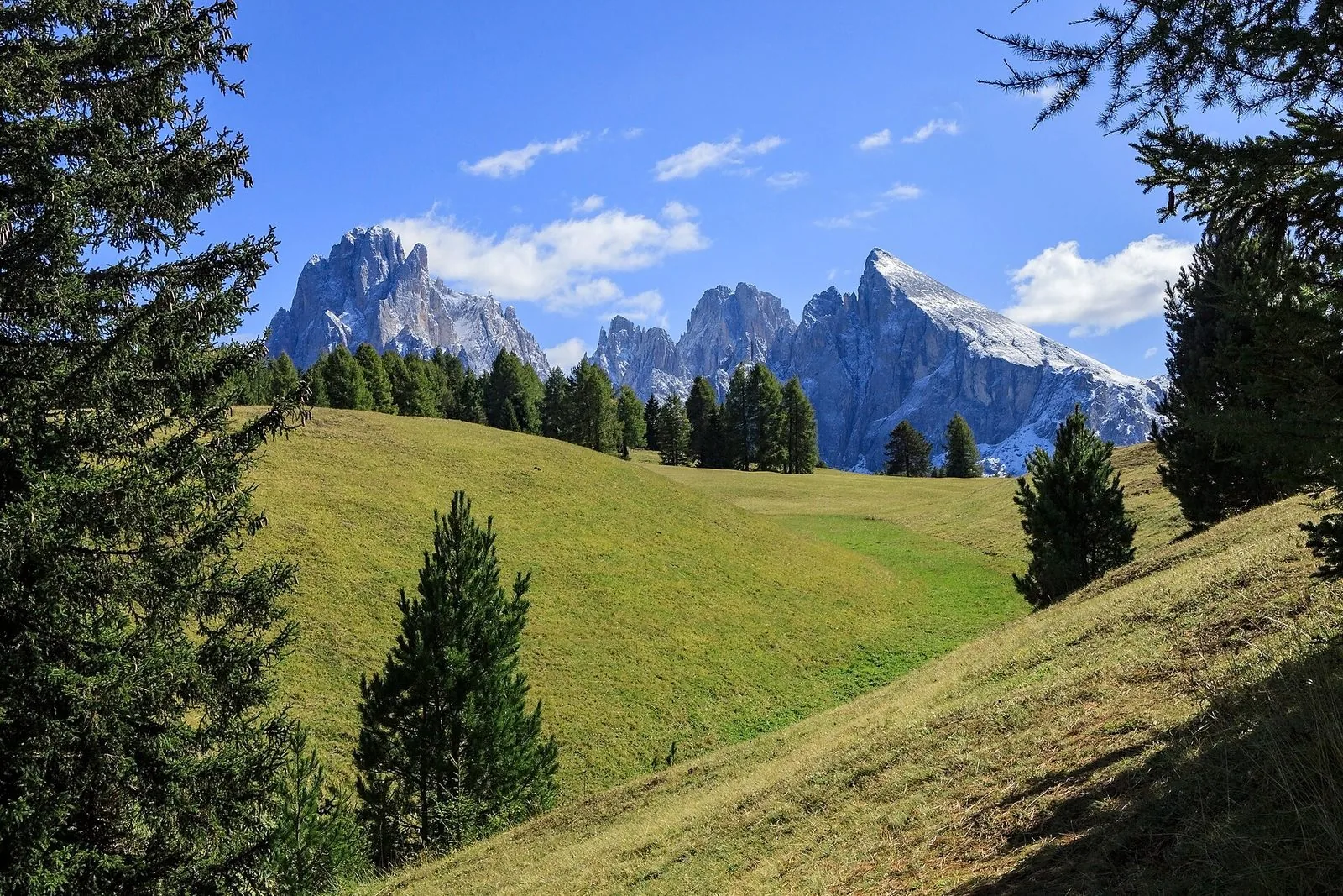 Prati verdi e ondulati dell'Alpe di Siusi incorniciati da abeti e larici, con sullo sfondo le cime rocciose del Sassolungo e del Sassopiatto spruzzate di neve sotto un cielo azzurro con nuvole leggere