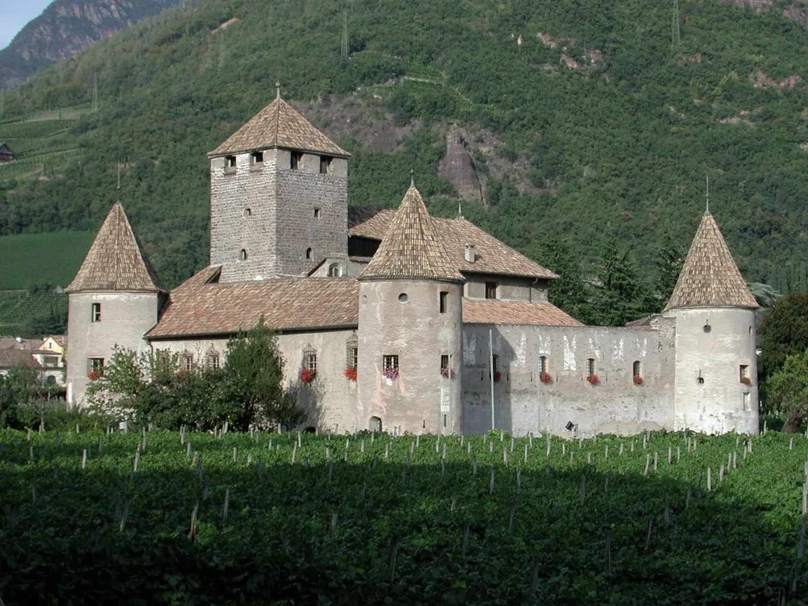 Castel Mareccio a Bolzano: il castello bianco con la torre quadrata centrale e quattro torri rotonde dai tetti a punta in scandole, gerani rossi alle finestre e un vigneto in primo piano, sullo sfondo un pendio boscoso
